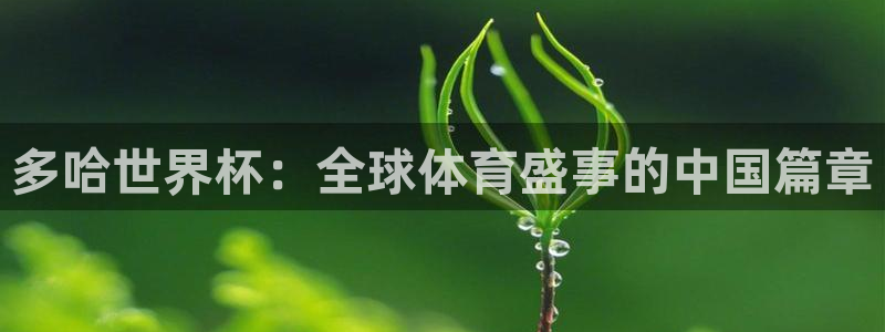 2026年男足世界杯：多哈世界杯：全球体育盛事的中国篇章