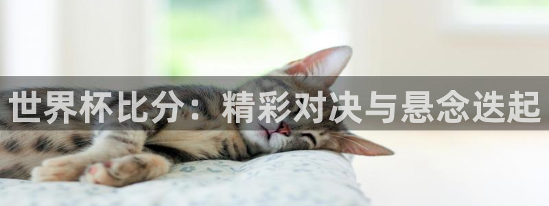 世界杯官网：世界杯比分：精彩对决与悬念迭起
