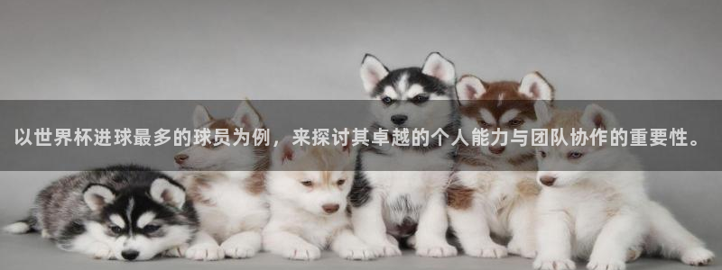 世界杯在线直播入口：以世界杯进球最多的球员为例，来探讨其卓越的个人能力与团队协作的重要性。