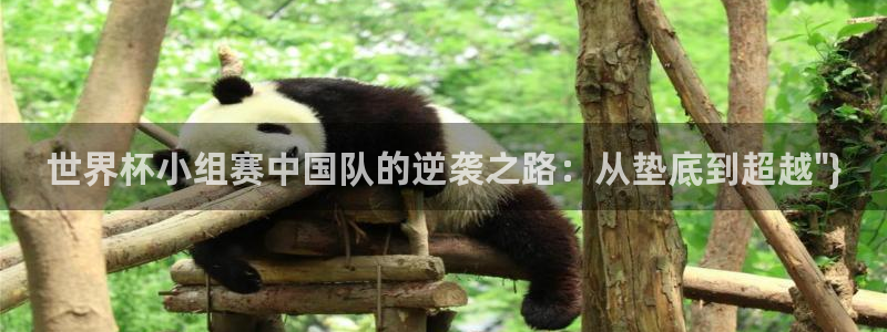 世界杯预选赛：世界杯小组赛中国队的逆袭之路：从垫底到超越\