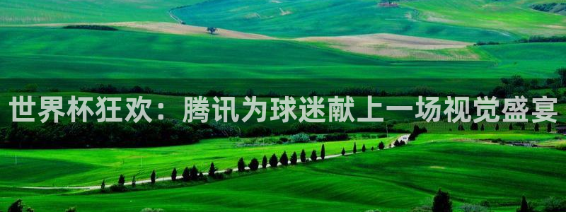 26世界杯：世界杯狂欢：腾讯为球迷献上一场视觉盛宴