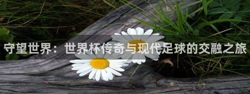 2026年世界杯赛程表时间：守望世界：世界杯传奇与现代足球的交融之旅