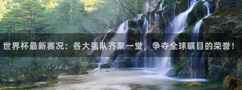 2026年世界杯直播平台：世界杯最新赛况：各大强队齐聚一堂，争夺全球瞩目的荣誉！