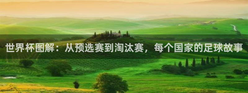 欧洲区世界杯预选赛：世界杯图解：从预选赛到淘汰赛，每个国家的足球故事