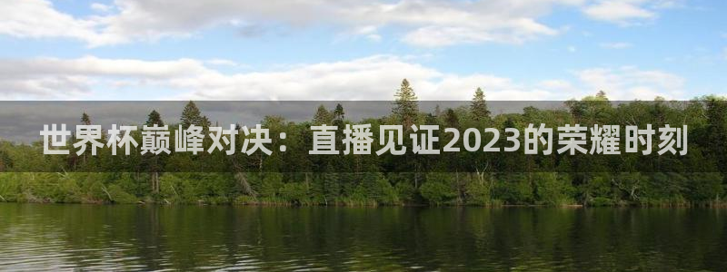 欧洲区世界杯预选赛：世界杯巅峰对决：直播见证2023的荣耀时刻